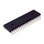 AT89C55WD 24PI 8955